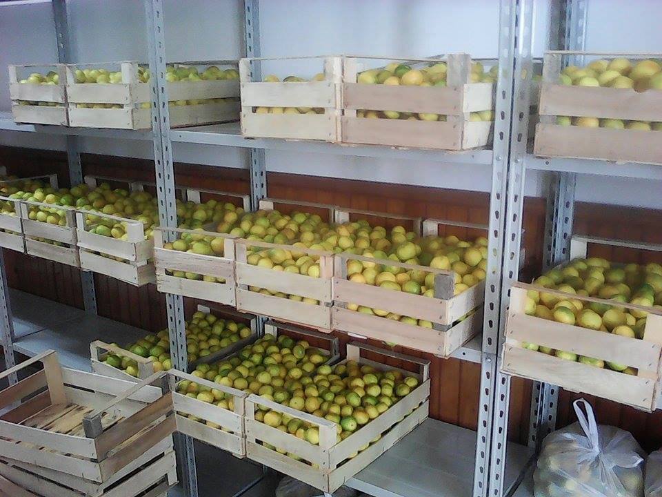 14344136_2007426952816905_4464137878741440255_n