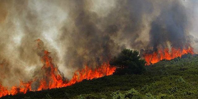 požar via dubrovacki.hr