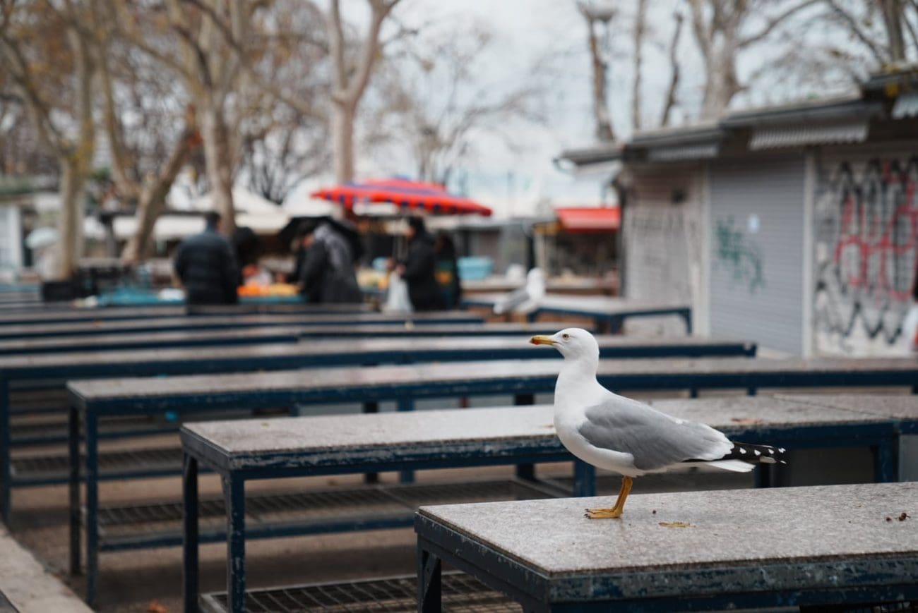 Inspekcija razotkrila: Svaki treći OPG na tržnicama prodaje ‘tuđu’ robu
